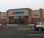 Pet Smart - Privacy Glass Film PA