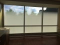 Window Tint for House Windows Montgomery County PA